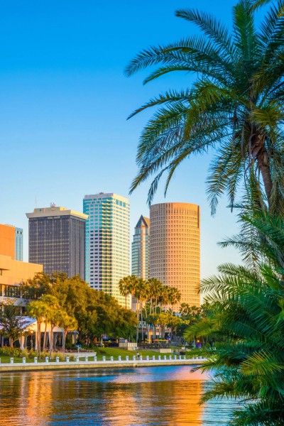 tampa.jpg